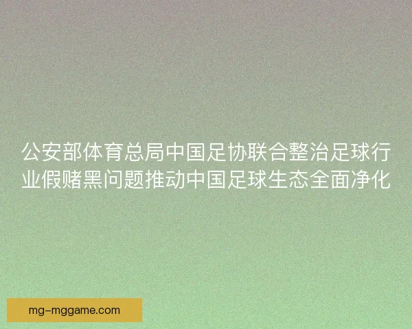 公安部体育总局中国足协联合整治足球行业假赌黑问题推动中国足球生态全面净化